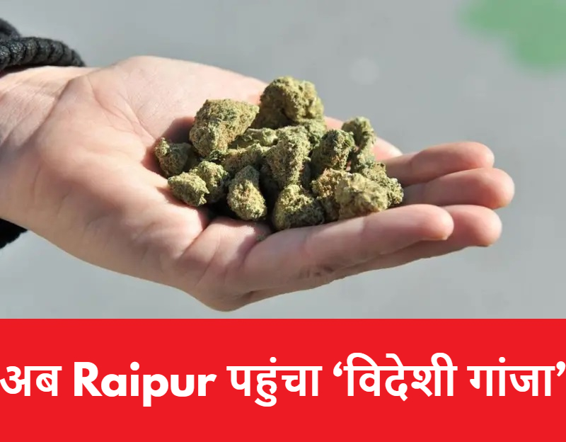 CG NEWS :विदेशी गांजा तस्करी का पर्दाफाश, आरोपी गिरफ्तार