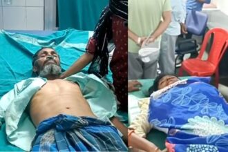 CG NEWS : हाथियों का आतंक, दंपती पर हमला, महिला गंभीर रूप से घायल