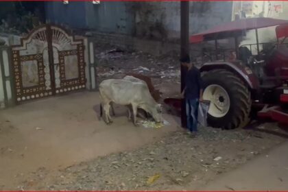 CG NEWS : नगरवासियों को गौ सेवा के प्रति जागरूक करने के लिए जय हिंद परिवार ने चलाई मुहिम