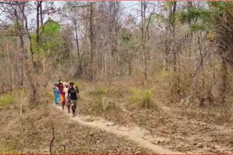 CG NEWS : सड़क, बिजली और स्कूल के अभाव में आज भी पिछड़ा है कलर टोला गांव