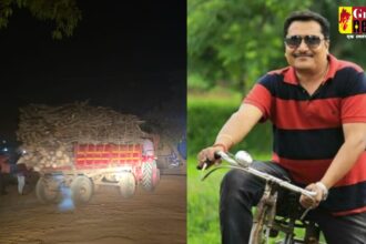 Tilda News : 'सिंघम रिटर्न'; वन मंडल उड़नदस्ता प्रभारी दीपक तिवारी का ताबड़तोड़ कार्यवाही, लकड़ी तस्करी पर नकेल शुरू 