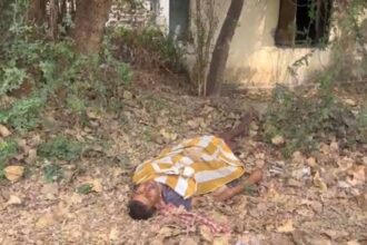 CG NEWS : गंज थाना क्षेत्र में पेड़ से लटकी मिली अज्ञात व्यक्ति की लाश, इलाके में मचा हड़कंप