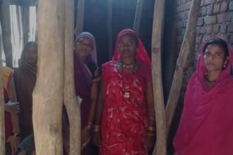 CG NEWS : "सेंट्रिंग प्लेट से संवारा भविष्य, जांजगीर-चांपा की महिलाओं ने रची आत्मनिर्भरता की कहानी"