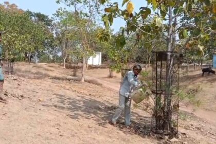 CG NEWS :"प्रकृति के लिए समर्पण: साइकिल पर पौधों संग चल पड़े 72 साल के पर्यावरण योद्धा"