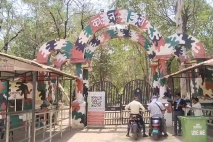 CG : 'आकाश' नहीं रहा: कानन जू के सफेद सितारे का अंत, हार्ट अटैक ने छीना 'आकाश' को, जू में बचे केवल दो सफेद बाघ
