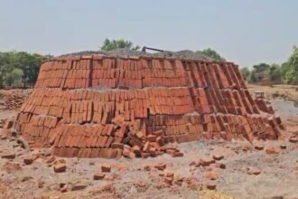 CG: लाल ईट के अवैध निर्माण पर बड़ी कार्यवाही ,जप्त किए गए 3 लाख अवैध निर्मित लाल ईट