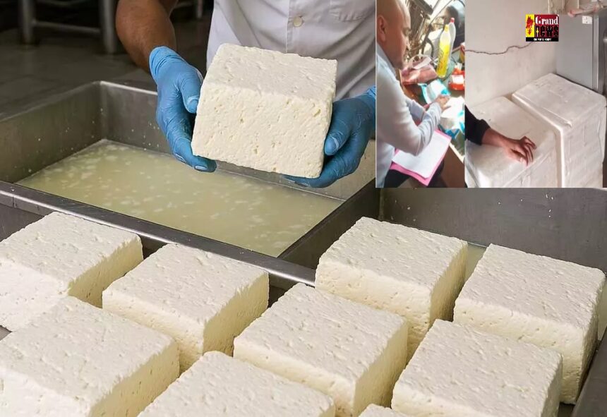 Raipur News : राजधानी में चल रहा था नकली पनीर का गोरखधंधा, खाद्य विभाग ने डेयरी में की छापेमार कार्रवाई, दुकान सील