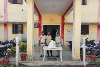 CG NEWS : अवैध कच्ची महुआ शराब के साथ आरोपी गिरफ्तार, पामगढ़ पुलिस की त्वरित कार्रवाई