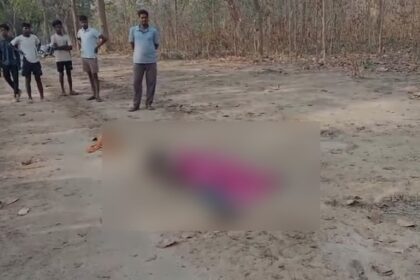 CG NEWS :हाथी के हमले में 35 वर्षीय युवक की दर्दनाक मौत, इलाके में दहशत का माहौल