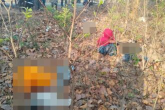CG ACCIDENT : आर्केस्ट्रा प्रोग्राम देखकर घर लौट रहे तीन दोस्तों की मौत, तेज रफ्तार बाइक पेड़ से टकराई
