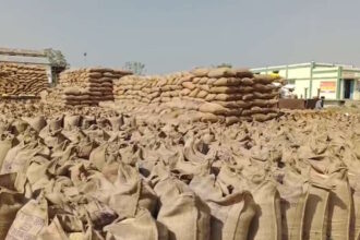 CG NEWS : पंडरिया ब्लॉक में 3.36 करोड़ रुपए मूल्य का धान गायब, तीन उपार्जन केंद्रों पर अनियमितता उजागर
