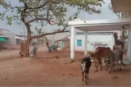 CG NEWS : तेज आंधी-बारिश से ग्राम उदयपुर में तबाही, दर्जनों गरीब परिवार बेघर | पीएम आवास योजना से वंचित