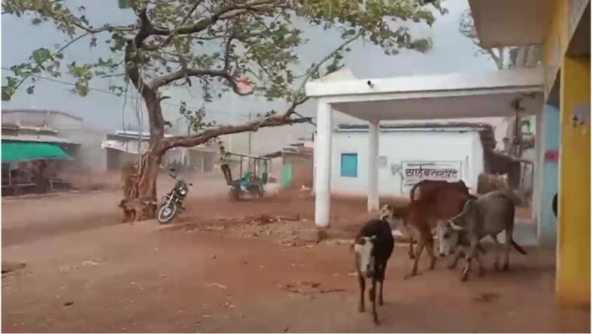 CG NEWS : तेज आंधी-बारिश से ग्राम उदयपुर में तबाही, दर्जनों गरीब परिवार बेघर | पीएम आवास योजना से वंचित