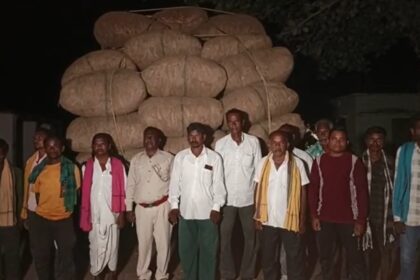 CG NEWS : ओडिशा सीमा से तेंदूपत्ता तस्करी का बड़ा खुलासा, 110 बोरी के साथ मेटाडोर जप्त