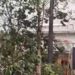 CG: तपती दोपहर में राहत, तेज हवाओं के बीच आकाशीय बिजली और बारिश, शहर में कई पेड़ टूट कर सड़कों पर गिरे