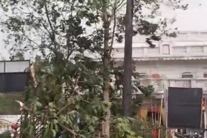 CG: तपती दोपहर में राहत, तेज हवाओं के बीच आकाशीय बिजली और बारिश, शहर में कई पेड़ टूट कर सड़कों पर गिरे