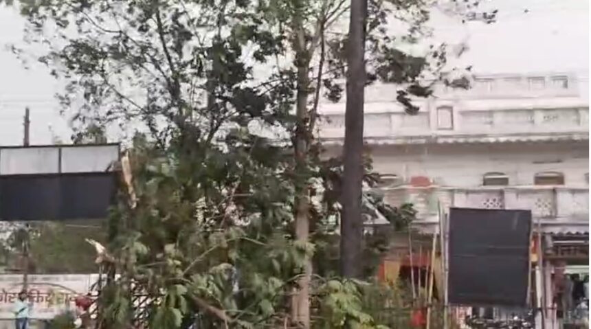 CG: तपती दोपहर में राहत, तेज हवाओं के बीच आकाशीय बिजली और बारिश, शहर में कई पेड़ टूट कर सड़कों पर गिरे