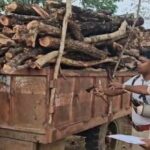 CG : खुड़िया जंगल से तस्करी की कोशिश नाकाम, अवैध लकड़ी से भरा ट्रैक्टर ज़ब्त