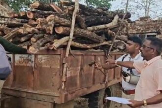CG : खुड़िया जंगल से तस्करी की कोशिश नाकाम, अवैध लकड़ी से भरा ट्रैक्टर ज़ब्त