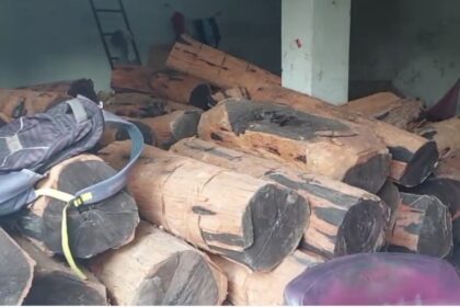 CG NEWS : वन विभाग की बड़ी कार्यवाही ! अवैध लकड़ी डिपो का भंडाफोड़, तेंदू और खैर की लकड़ी से लदा एक ट्रक जप्त