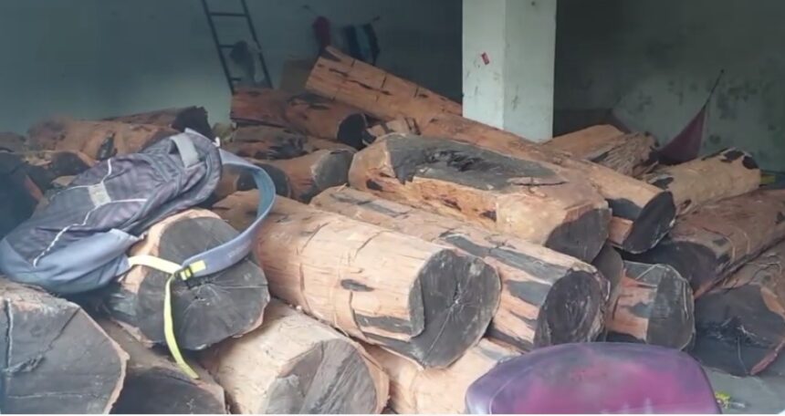 CG NEWS : वन विभाग की बड़ी कार्यवाही ! अवैध लकड़ी डिपो का भंडाफोड़, तेंदू और खैर की लकड़ी से लदा एक ट्रक जप्त
