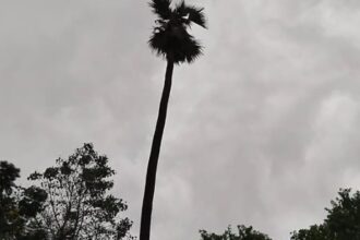 CG Weather: 9 जिलों में हो सकती हैं गरज-चमक के साथ तेज बारिश, यलो अलर्ट जारी...