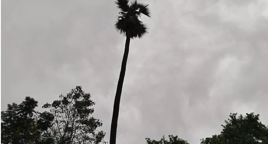 CG Weather: 9 जिलों में हो सकती हैं गरज-चमक के साथ तेज बारिश, यलो अलर्ट जारी...