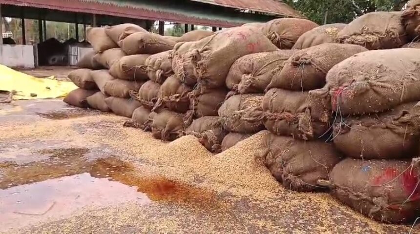 CG : मंडी में भीगा सैकड़ो क्विंटल किसानों और व्यापारियों का धान, देखें वीडियो