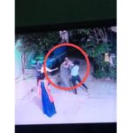 CG VIDEO : गाड़ी खड़ी करने को लेकर दो महिलाओं के बीच मारपीट, वीडियो सोशल मीडिया में हो रहा वायरल