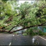 CG NEWS : आंधी-तूफान ने मचाई भारी तबाही, कई घर तबाह, बिजली व्यवस्था ठप