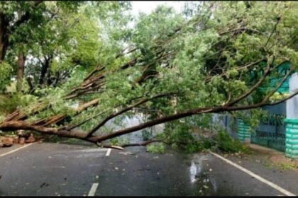 CG NEWS : आंधी-तूफान ने मचाई भारी तबाही, कई घर तबाह, बिजली व्यवस्था ठप