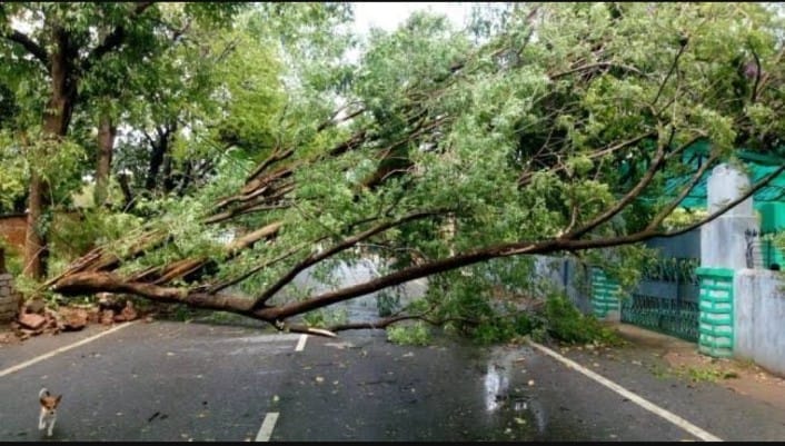 CG NEWS : आंधी-तूफान ने मचाई भारी तबाही, कई घर तबाह, बिजली व्यवस्था ठप