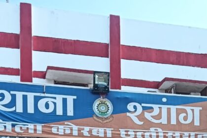 CG CRIME : शराब के लिए पैसे नहीं देने पर दादी की हत्या, आरोपी गिरफ्तार