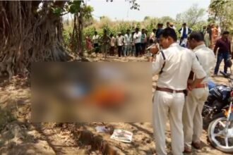 CG NEWS : खेत में पति-पत्नी की संदिग्ध हालत में मिली लाश, मौत की गुत्थी सुलझाने में जुटी पुलिस टीम
