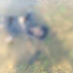 CG NEWS : हसदेव नदी में मिला अज्ञात युवक का शव, हत्या या आत्महत्या जांच में जुटी पुलिस 
