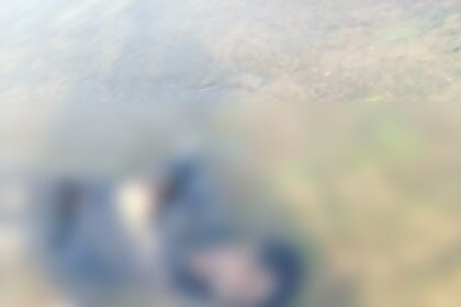 CG NEWS : हसदेव नदी में मिला अज्ञात युवक का शव, हत्या या आत्महत्या जांच में जुटी पुलिस 