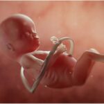 CG NEWS :प्रेमी ने दी गर्भपात की गोली, इलाज से पहले युवती की मौत, परिजनों ने लगाया गंभीर आरोप
