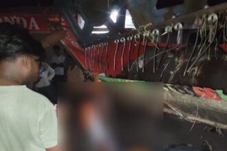 CG BIG ACCIDENT : छत्तीसगढ़ में तीन की मौत; तेज रफ्तार बाइक और हार्वेस्टर में जोरदार भिड़ंत, तीन युवकों की मौके पर मौत, एक का सिर धड़ से अलग