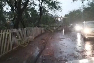 CG NEWS : बिजली और पानी की समस्या से जनता परेशान, पूर्व विधायक शैलेष पांडेय ने सरकार पर साधा निशाना
