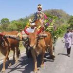 CG NEWS : बैलगाड़ी में बारात, कांकेर के दूल्हे ने दिखाया संस्कृति प्रेम, गांव में बनी मिसाल