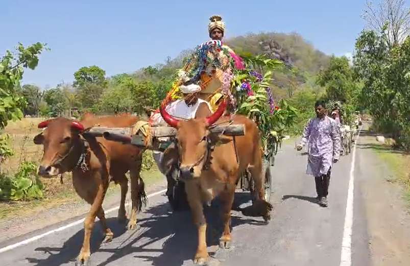 CG NEWS : बैलगाड़ी में बारात, कांकेर के दूल्हे ने दिखाया संस्कृति प्रेम, गांव में बनी मिसाल