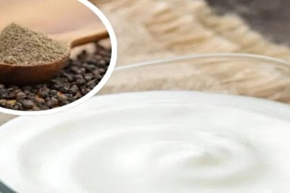 health in summer: गर्मी में राहत और सेहत दोनों देगा दही और काली मिर्च का कॉम्बिनेशन, जानिए इसके 5 जबरदस्त फायदे