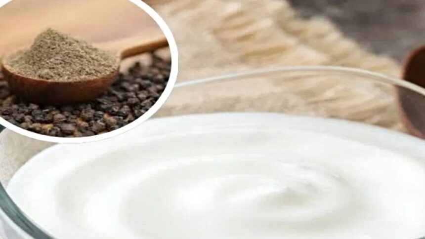 health in summer: गर्मी में राहत और सेहत दोनों देगा दही और काली मिर्च का कॉम्बिनेशन, जानिए इसके 5 जबरदस्त फायदे