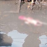 रायपुर के आरंग में नाली से मिला 4 महीने का भ्रूण, पुलिस कर रही जांच