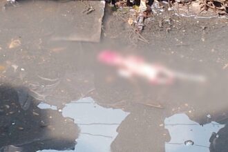 रायपुर के आरंग में नाली से मिला 4 महीने का भ्रूण, पुलिस कर रही जांच