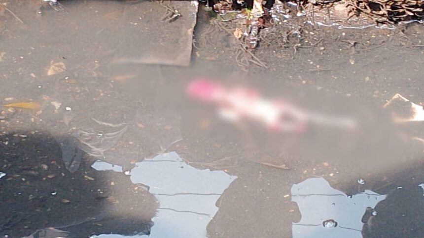 रायपुर के आरंग में नाली से मिला 4 महीने का भ्रूण, पुलिस कर रही जांच
