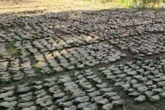 CG NEWS : तेन्दूपत्ता पारिश्रमिक वितरण में घोटाला, 11 वनोपज समिति प्रबंधक बर्खास्त, संचालक मंडल भंग