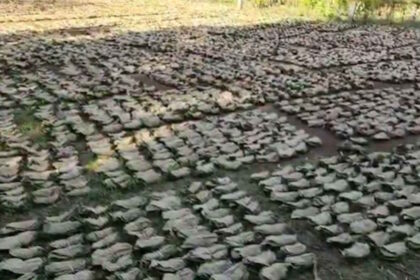 CG NEWS : तेन्दूपत्ता पारिश्रमिक वितरण में घोटाला, 11 वनोपज समिति प्रबंधक बर्खास्त, संचालक मंडल भंग