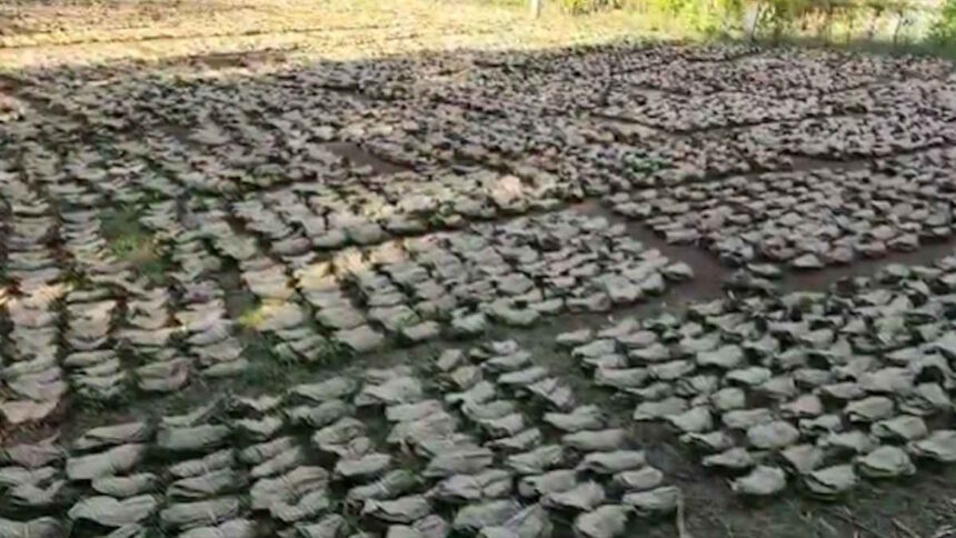 CG NEWS : तेन्दूपत्ता पारिश्रमिक वितरण में घोटाला, 11 वनोपज समिति प्रबंधक बर्खास्त, संचालक मंडल भंग