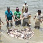CG : 15 अगस्त तक मत्स्याखेट प्रतिबंधित, नियम तोड़ने पर कारावास या लग सकता है 10 हजार रूपये का जुर्माना!